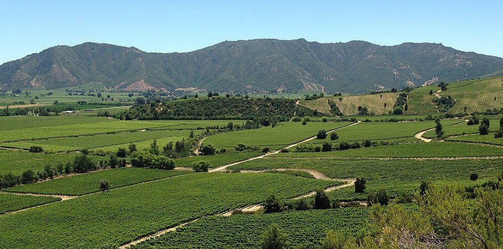 Colchagua Valley, O'Higgins Region, Chile